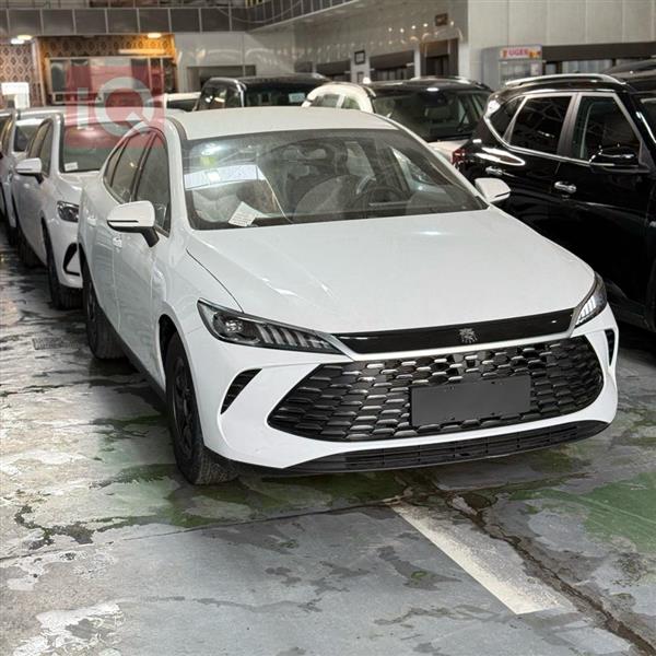 بي واي دي Qin Plus 2025 للبيع في العراق -  بغداد